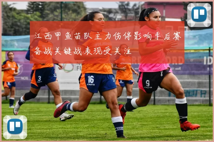 江西甲鱼苗队主力伤停影响季后赛备战关键战表现受关注