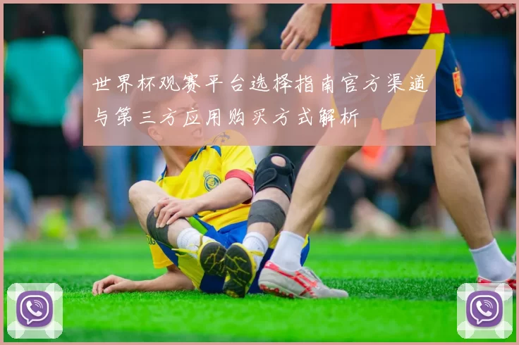 世界杯观赛平台选择指南官方渠道与第三方应用购买方式解析