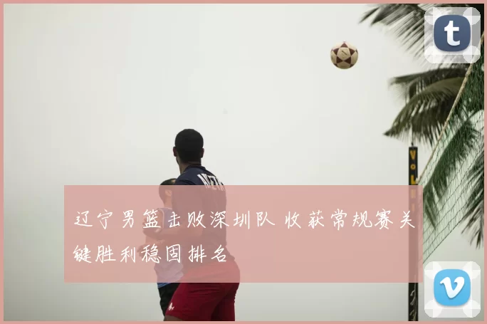 辽宁男篮击败深圳队 收获常规赛关键胜利稳固排名