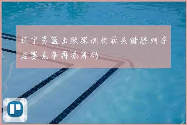 辽宁男篮击败深圳收获关键胜利季后赛竞争再添筹码