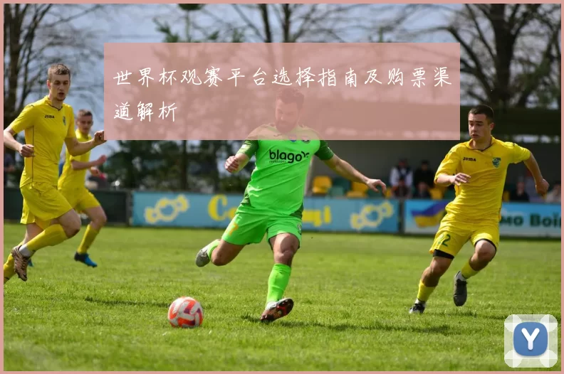 世界杯观赛平台选择指南及购票渠道解析