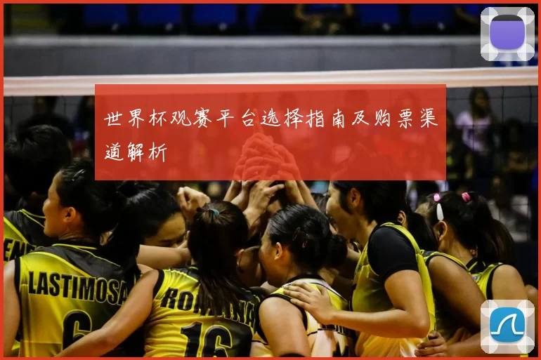 世界杯观赛平台选择指南及购票渠道解析