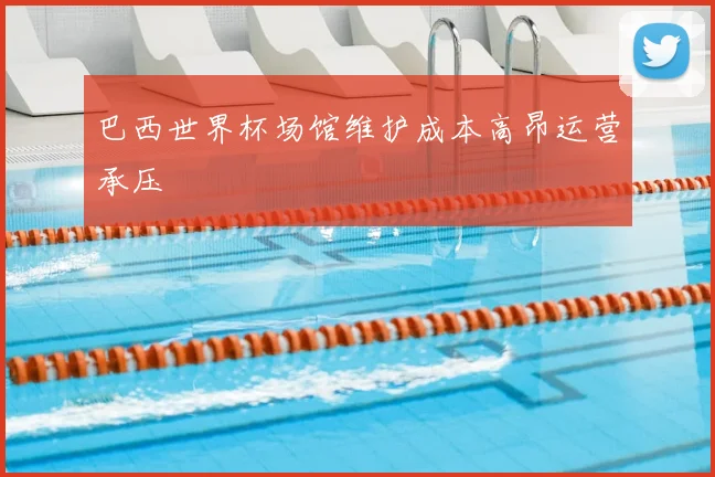 巴西世界杯场馆维护成本高昂运营承压