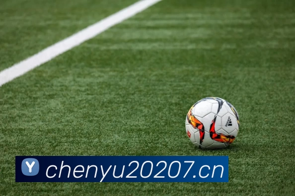 九游网页版·官方端网站 - 九游(中国)APP 封面图